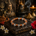 Natural Rudraksha & Clear Quartz Bracelet 8 MM – Spiritual Protection, Peace & Positive Energy